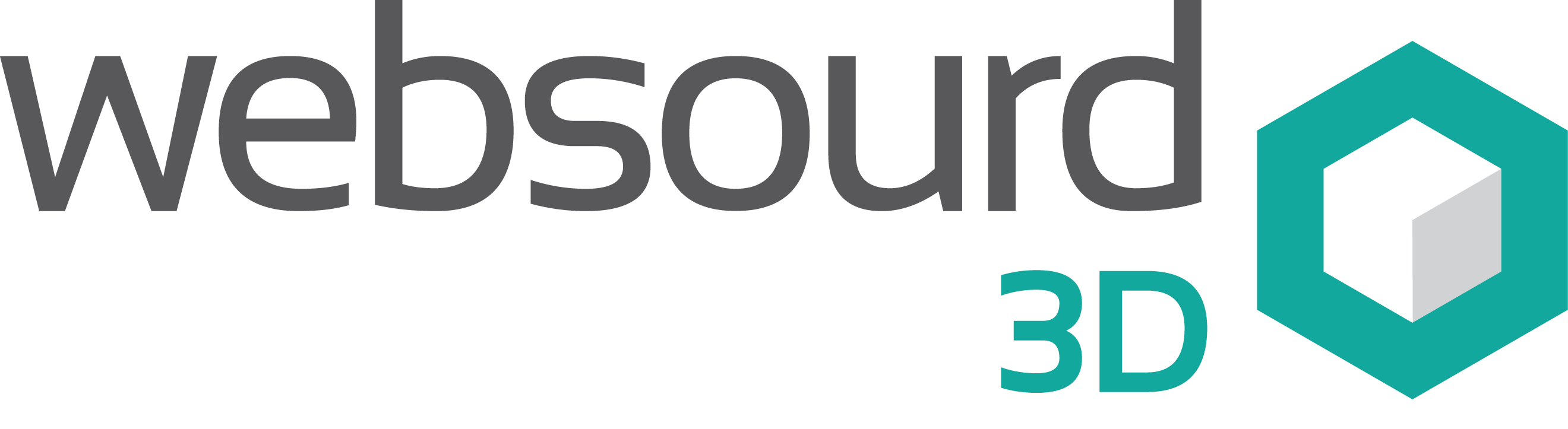 Websourd 3D logo